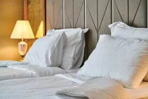 Punaises de lit au retour de vacances : les bons réflexes pour ne pas les ramener chez vous