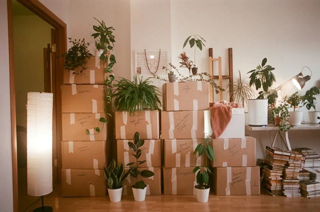 Cartons dans une pièce en cours de vidage lors d'un débarras de maison