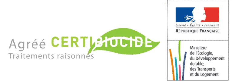 Soli'Débarras, entreprise agréée Certibiocide pour le traitement des nuisibles