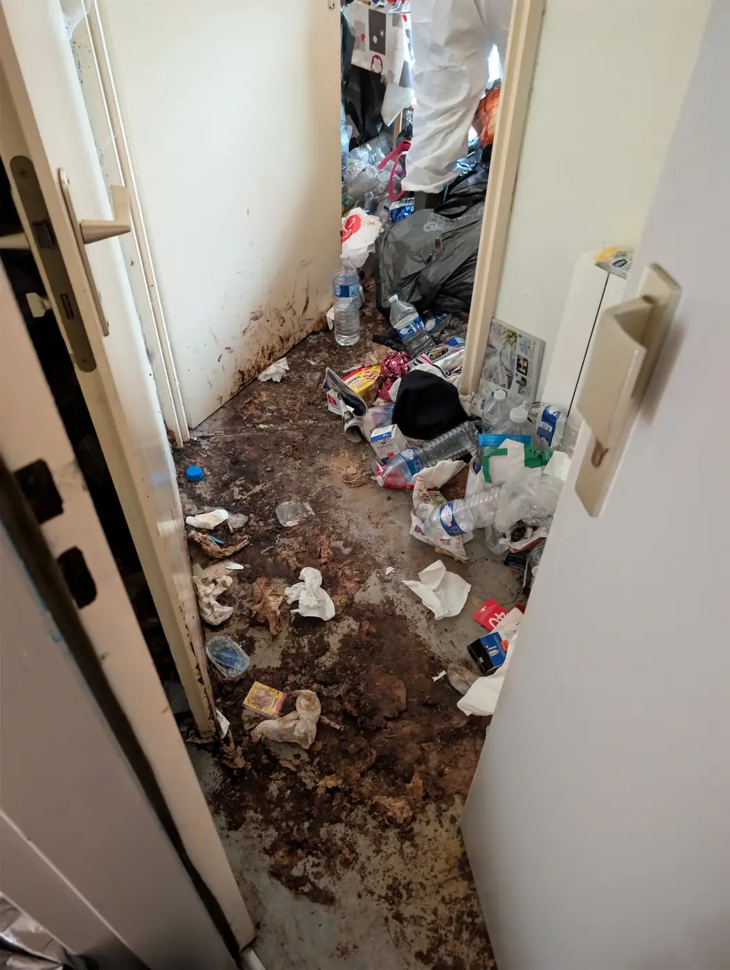 Couloir d'appartement au sol souillé et jonché de déchets, avant remise en état